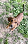 Wilson - Photo 3