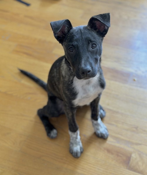 Coco Preschool photo 2