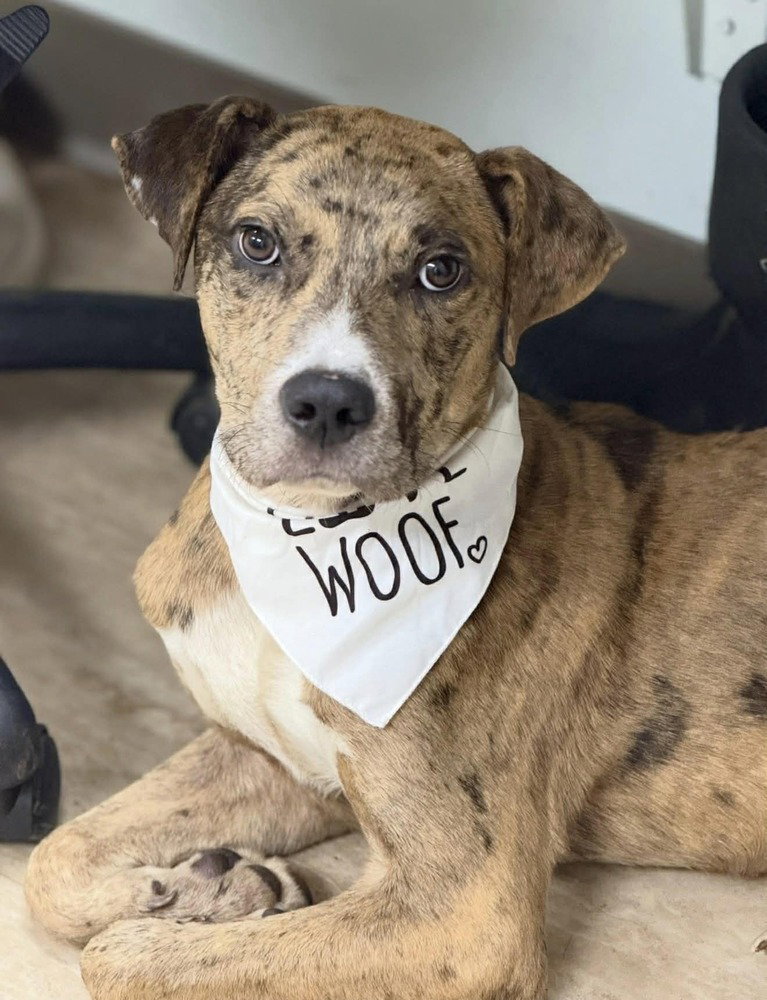 Roscoe