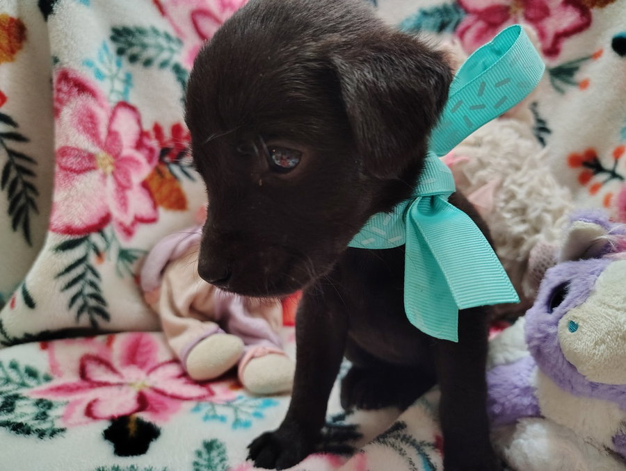 Minnie March