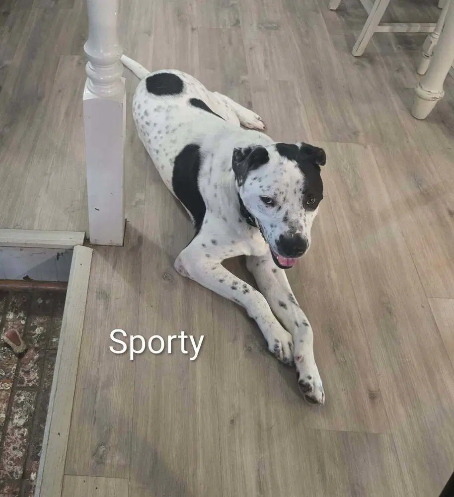 Sporty image 4