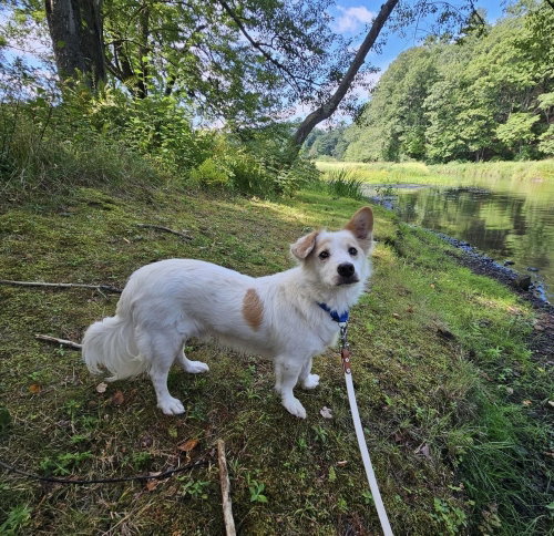 Max photo 1