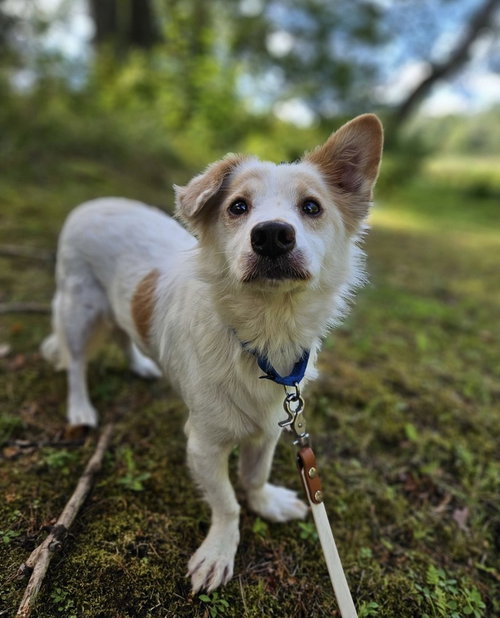 Max photo 3