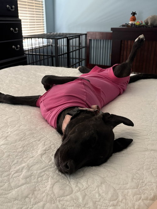 Delilah photo 3