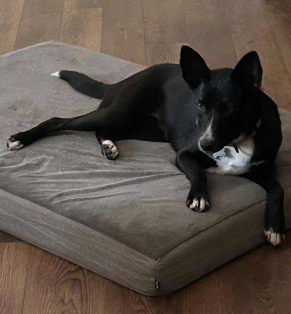 Mindy image 3