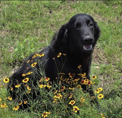 Stanley photo 1