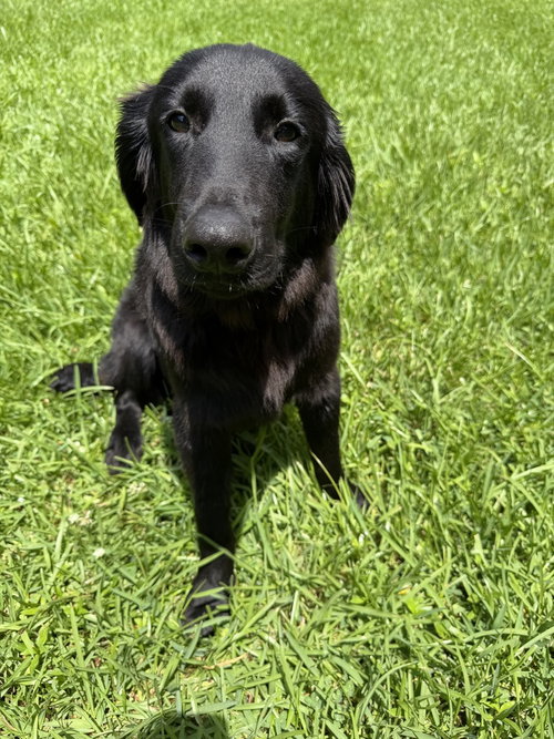 Stanley photo 2
