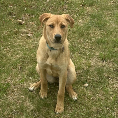 Livie-Lucy Ball photo 3