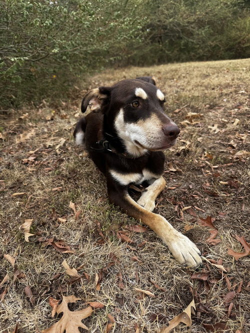 Photo 2 of Cash Outlaw