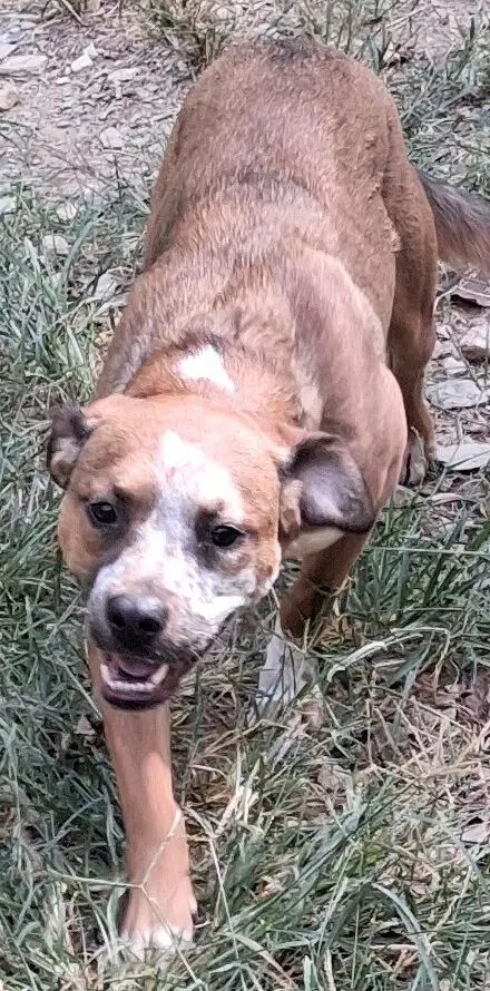 Misha image 4