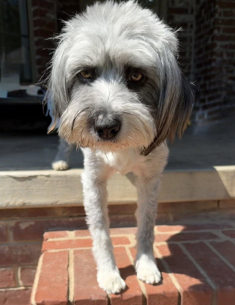 Marlene Bear, photo 2
