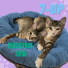 7up