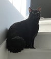 Steve - Photo 1