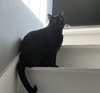 Steve - Photo 3
