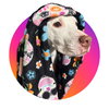 Easton