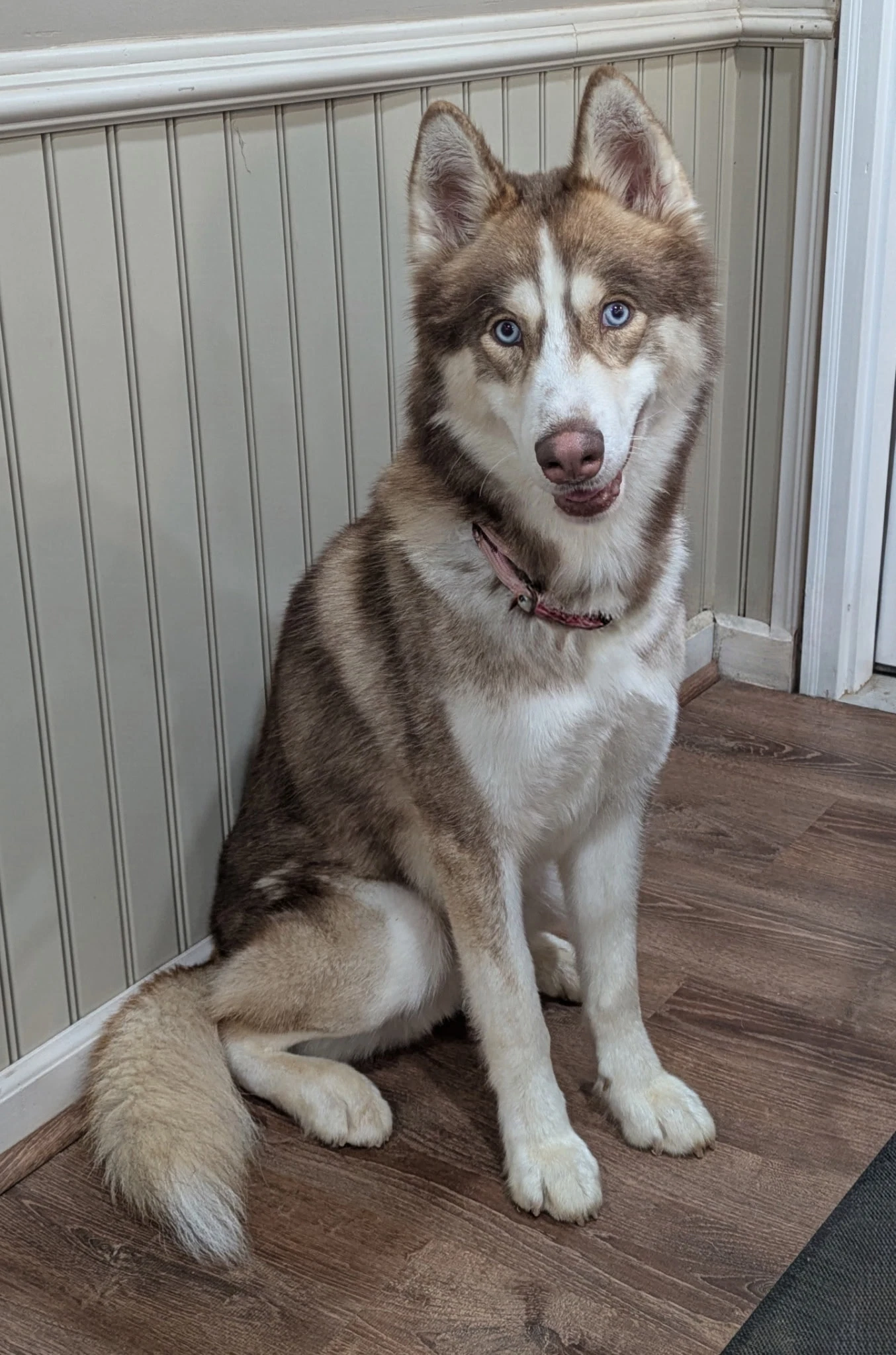 Timber