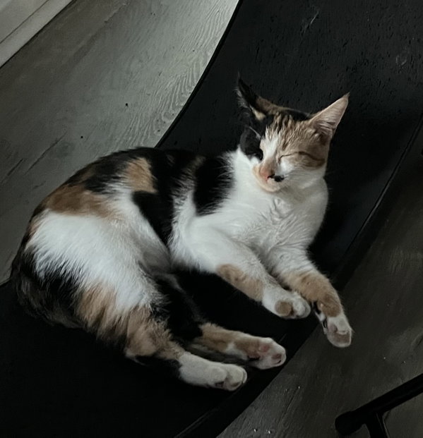 Darla
