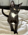 Penn
