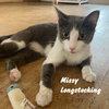 Missy Longstocking #docile-lapcat - Photo 1