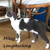 Missy Longstocking #docile-lapcat - Photo 2