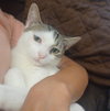 Snow #spunky-four - Photo 2