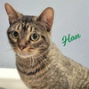 Han #green-globe-eyes - Photo 1