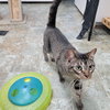 Han #green-globe-eyes - Photo 5