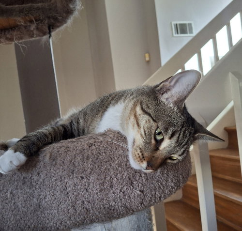 Photo 4 of Ms Ethel #low-maintenance