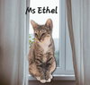 Ms Ethel #low-maintenance - Photo 3