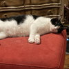 Felix #enjoys-kids - Photo 4