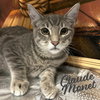 Claude #Monet - Photo 1