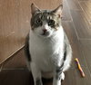 Jax #chunky-gent - Photo 4