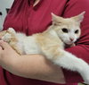 Tippy #tunnel-whiz - Photo 2