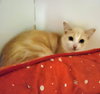 Tippy #tunnel-whiz - Photo 3