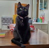 Taco #miss-foodie - Photo 4