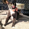 Eve #feline-chanteuse - Photo 6