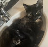 Luna #full-of-surprises - Photo 3