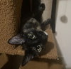 Luna #full-of-surprises - Photo 4