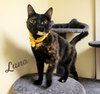 Luna #full-of-surprises - Photo 1