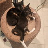 Florence & Frida #bonded-sisters - Photo 3