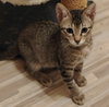 Milo #lovey-dovey - Photo 5
