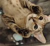 Milo #lovey-dovey - Photo 4