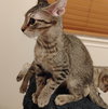 Milo #lovey-dovey - Photo 6