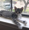 Clover #sister-of-Luna - Photo 18