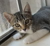 Clover #sister-of-Luna - Photo 11