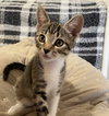 Clover #sister-of-Luna - Photo 16