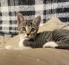 Clover #sister-of-Luna - Photo 10