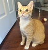 Cheeto #bestie-of-Cheets - Photo 4