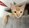 Jupiter #car-stowaway - Photo 2