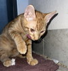 Jupiter #car-stowaway - Photo 5